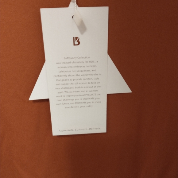 Buffbunny fall in love dress in cinnamon - Picture 3 of 5